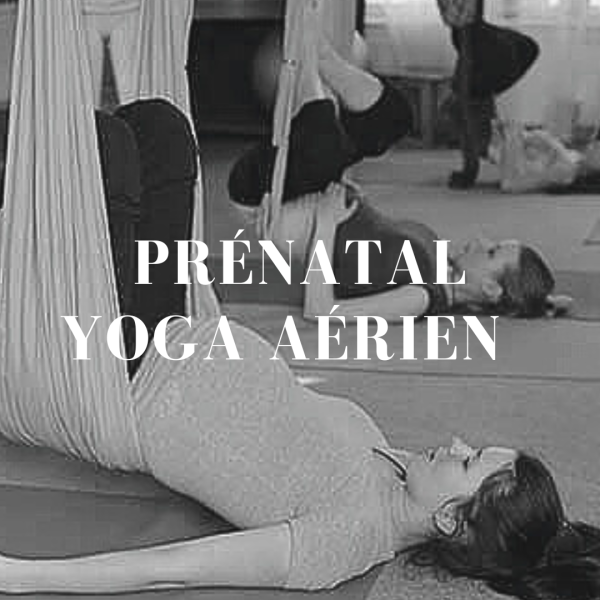 Fly yoga proche de Bordeaux et Saint André de Cubzac au studio Chandrananda